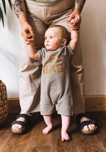 Load image into Gallery viewer, YES BAB sepia stripe shortie