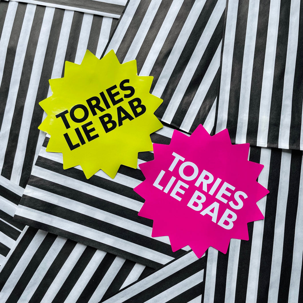 TORIES LIE BAB re-useable window stickers